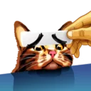 [sticker](media:AAQBABOb5dYvAAT_yD6dPh2fS-YoAAIC@telegram)