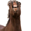 [sticker](media:AAQBABOjAAHoLwAENwh8PVtITY5tIwACAg@telegram)