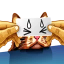 [sticker](media:AAQBABPJ5dYvAAQyb8c6Y9b5vRUlAAIC@telegram)