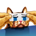 [sticker](media:AAQBABPa6NYvAAStHTcQsfmvRD4MAAIC@telegram)