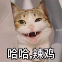 [sticker](media:AAQBABPrCQswAATTaaNmOPiL_oVtAAIC@telegram)