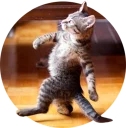[sticker](media:AAQCAAMHBQAC8UK_BUaI8SkRK094ILmCKgAEAQAHbQAD8j4AAhYE@telegram)