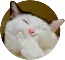 [sticker](media:AAQCAAMyBQAC8UK_BdgAAW_MtmeXyuHfgioABAEAB20AA3E_AAIWBA@telegram)