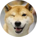 [sticker](media:AAQCAANXAAOELrgGTjSrFbOIGaWv4oIqAAQBAAdtAAMaOAACFgQ@telegram)