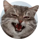 [sticker](media:AAQCAANvCQAC8UK_BY7uIYh1ZQdkaidLDQAEAQAHbQADGq8CAAEWBA@telegram)