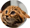 [sticker](media:AAQCAAOeAgAC8UK_BdlaGhOeslvgAaSEKgAEAQAHbQAD_i8AAhYE@telegram)