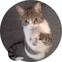 [sticker](media:AAQCAAOnAgAC8UK_BZOBtx9v0d5f9qmEKgAEAQAHbQAD4QkAAhYE@telegram)