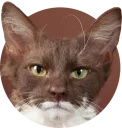 [sticker](media:AAQCAAOsCQAC8UK_BeEtdiXhWbNKKv2bDgAEAQAHbQADOjIAAhYE@telegram)