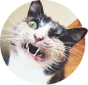 [sticker](media:AAQCAAOvCQAC8UK_BeEzj6UD8pHLnLCaDgAEAQAHbQADVYcAAhYE@telegram)