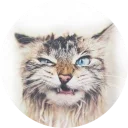[sticker](media:AAQCAAPJAQAC8UK_Bc1u187bigwL7DGEKgAEAQAHbQADkDYAAhYE@telegram)