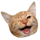 [sticker](media:AAQCAAPfAAMcvTYCU5zlENd6FQxQKYQqAAQBAAdtAANCQAACFgQ@telegram)
