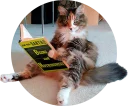 [sticker](media:AAQCABM-9Q8OAARr3d2mMVAz-RdoAAIC@telegram)
