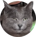 [sticker](media:AAQCABM-Q0sNAAR22XcEJYt4bNOxAgABAg@telegram)