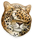 [sticker](media:AAQCABM7r4QqAARp-NnYPlcNRtoKAAIC@telegram)