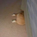 [sticker](media:AAQCABMBEYINAARw0NFlOWhj7Id1AAIC@telegram)