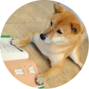 [sticker](media:AAQCABMF6IUqAARaqv6RYI2blBoPAAIC@telegram)