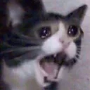 [sticker](media:AAQCABMFjeMNAASJHqFbtXMzeiACAAIC@telegram)