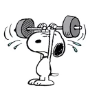 [sticker](media:AAQCABMIlVkqAASGC2jdF33Yn9o-AAIC@telegram)