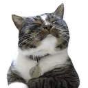 [sticker](media:AAQCABMMgYQqAARaogYS95eA4pkkAAIC@telegram)