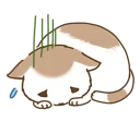 [sticker](media:AAQCABMOHoINAASd1SSJcUbdNqyNAAIC@telegram)