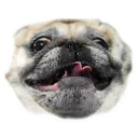 [sticker](media:AAQCABMPBYMqAAQD4LShpxh-3eUzAAIC@telegram)