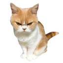 [sticker](media:AAQCABMcwoENAAT_EXjuIdZBqP55AAIC@telegram)