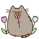 [sticker](media:AAQCABMl1IUqAASY1-q17iPQ25VCAAIC@telegram)