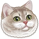 [sticker](media:AAQCABMur1kqAATdkBIiX574NWoJAAIC@telegram)