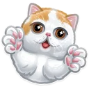 [sticker](media:AAQCABMxlFkqAASBOAOUVoeM0NwwAAIC@telegram)