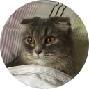 [sticker](media:AAQCABMzARAOAARITTZWBy6tPWKVAAIC@telegram)