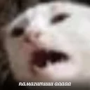 [sticker](media:AAQCABN-xeMNAAQG2L7yLA9G4l4MAAIC@telegram)