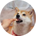 [sticker](media:AAQCABN32oUqAASoEmsSczzXpfoMAAIC@telegram)