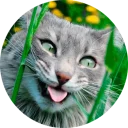 [sticker](media:AAQCABNEBkgNAATmHYrgnnvJulVOAAIC@telegram)