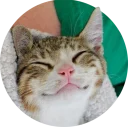 [sticker](media:AAQCABNHb4QqAASaSFUwG1mGb2IxAAIC@telegram)