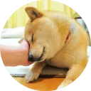 [sticker](media:AAQCABNKy4UqAAS1e9EGyH10DPMNAAIC@telegram)