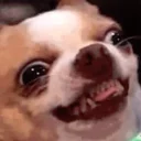 [sticker](media:AAQCABNOiuMNAASNbzIn8BxvwKQBAAIC@telegram)