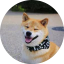 [sticker](media:AAQCABNRyIUqAASAEjeV9aXDvmgNAAIC@telegram)
