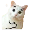 [sticker](media:AAQCABNUqw8OAASyq7DfAeKoA50tAAIC@telegram)