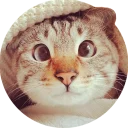 [sticker](media:AAQCABNrroQqAASscPi_bANeCN0cAAIC@telegram)