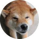 [sticker](media:AAQCABNy4oUqAAQ7RbTMrSFS2ukMAAIC@telegram)