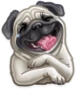 [sticker](media:AAQCABO1gFkqAAQbCmd4vOKBoZBCAAIC@telegram)