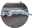 [sticker](media:AAQCABO7obcNAATtMsGLOzE25o2VAAIC@telegram)