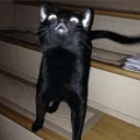 [sticker](media:AAQCABO8SksNAAT23IIMVC8fXVciAgABAg@telegram)