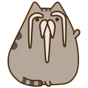 [sticker](media:AAQCABODrYQqAAQrVXAtgfGaW-oJAAIC@telegram)