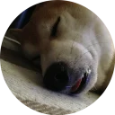 [sticker](media:AAQCABOJyIUqAAQZKk1Z682WTVgOAAIC@telegram)