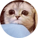 [sticker](media:AAQCABOL9kcNAARH9lhbQwABviJdGwACAg@telegram)