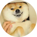 [sticker](media:AAQCABOMuYIqAAR-COmC3jsaODlWAAIC@telegram)