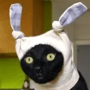 [sticker](media:AAQCABOQC4INAARAO_VL27cOmN5vAAIC@telegram)