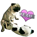 [sticker](media:AAQCABOXsw8OAARHz7JrNio0AAGnbQACAg@telegram)