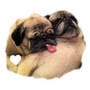 [sticker](media:AAQCABOaDoMqAATFv1w6ZNFOK3wlAAIC@telegram)